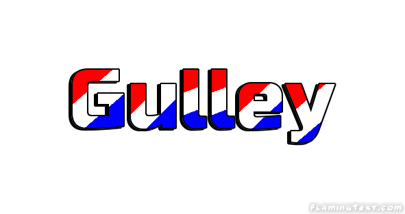 Gulley 市