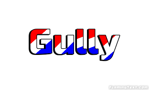 Gully Ville