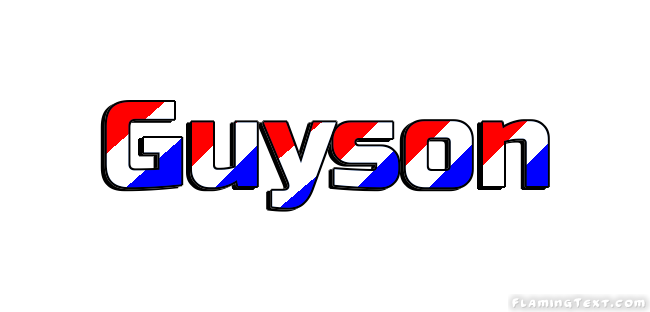 Guyson 市