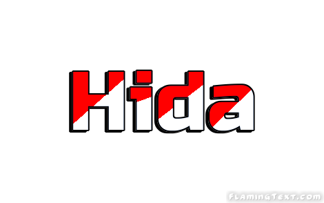 Hida City