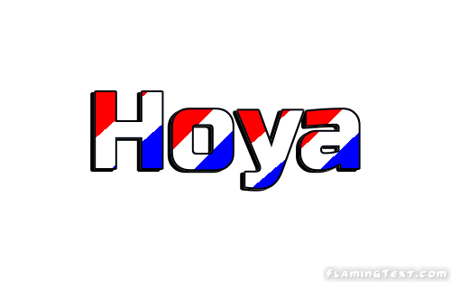 Hoya Stadt