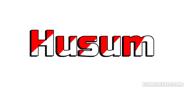 Husum City