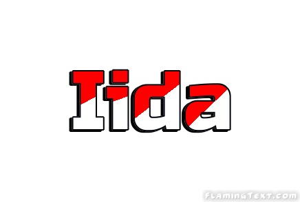 Iida City