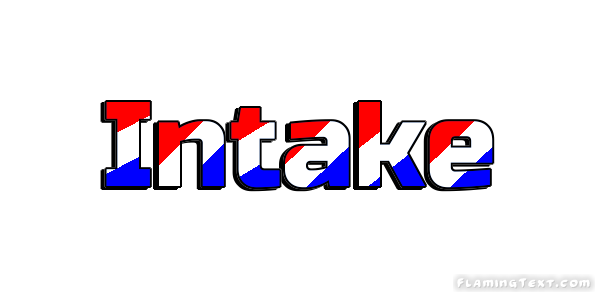 Intake 市