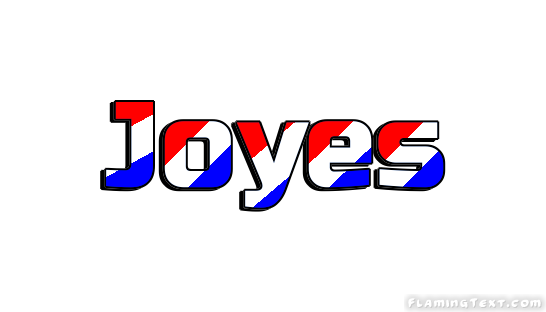 Joyes 市