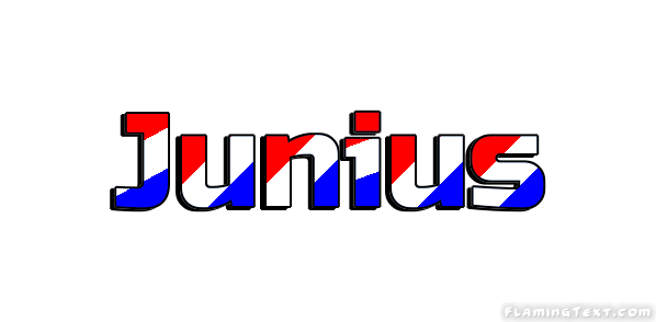 Junius 市