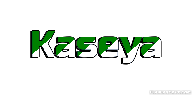 Kaseya Ville