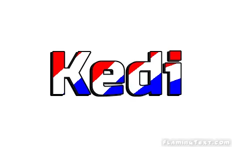 Kedi City