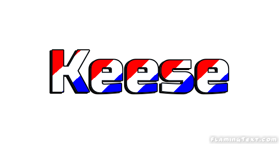 Keese City