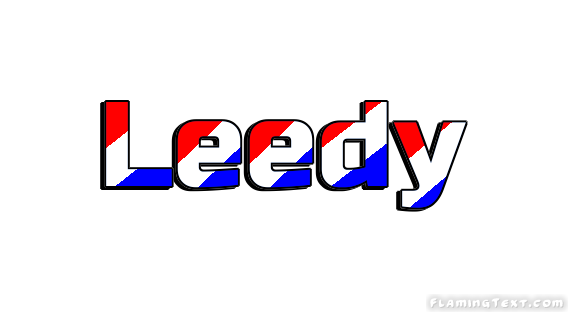 Leedy Ciudad