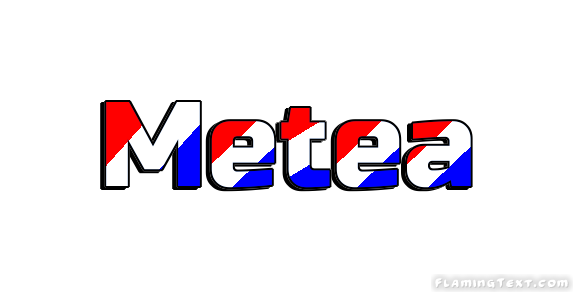 Metea Ville