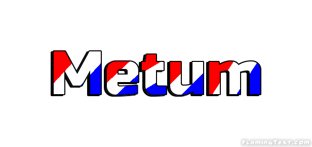 Metum 市