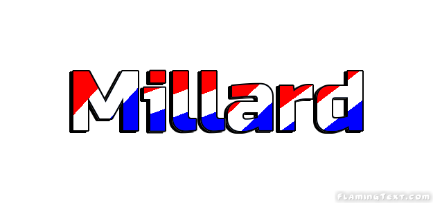 Millard City