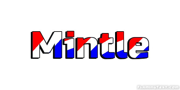 Mintle 市