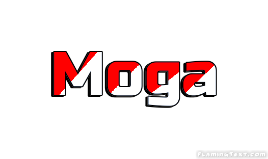 Moga City
