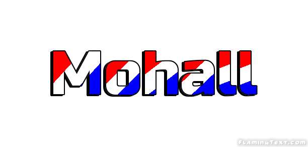 Mohall 市