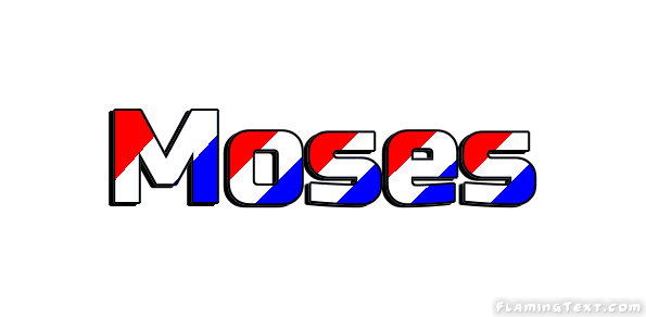 Moses 市