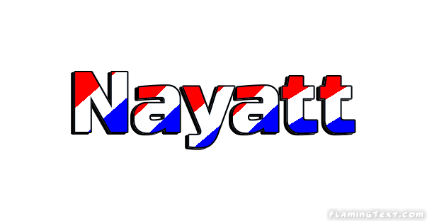 Nayatt 市