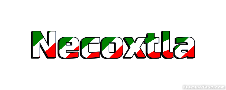 Necoxtla City