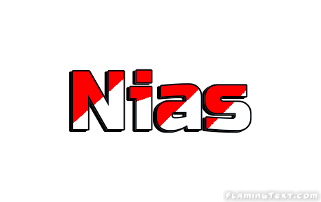 Nias City