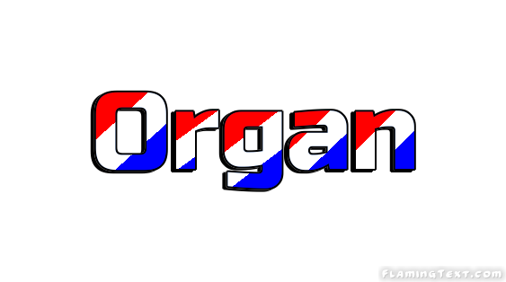 Organ город