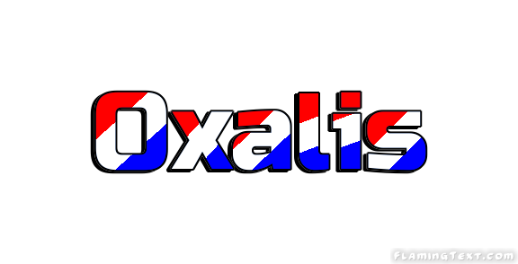 Oxalis 市