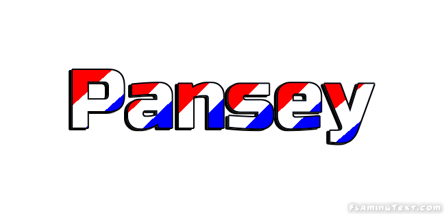 Pansey City