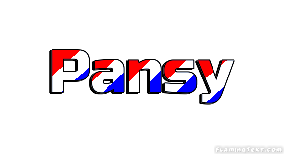 Pansy 市