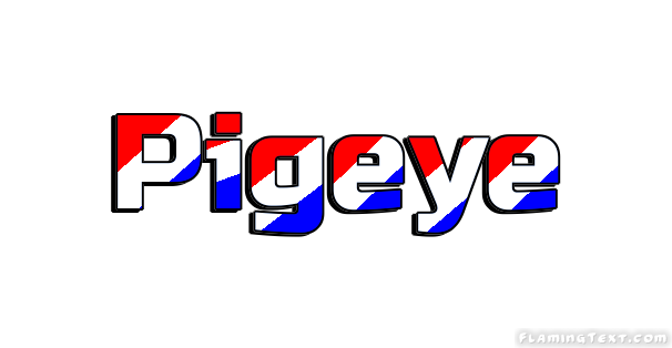 Pigeye город