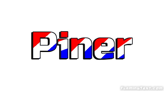 Piner город