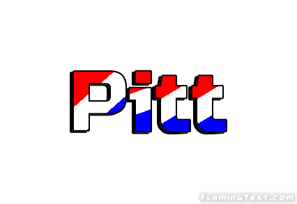 Pitt город
