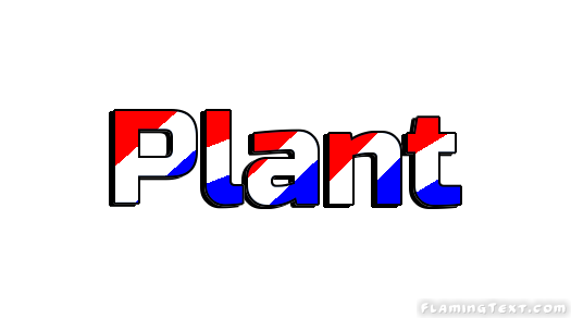 Plant Ciudad