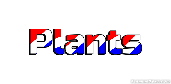 Plants Ciudad