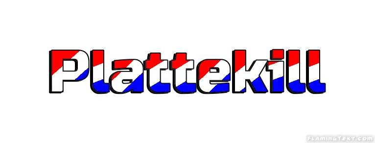 Plattekill 市