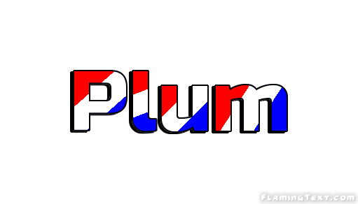 Plum 市