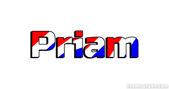 Priam City
