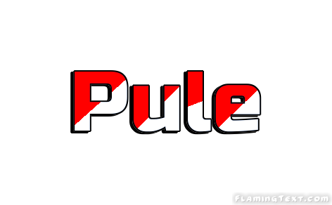 Pule City