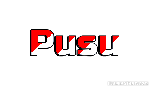 Pusu City