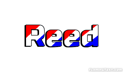 Reed مدينة