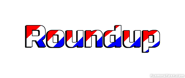 Roundup Ciudad