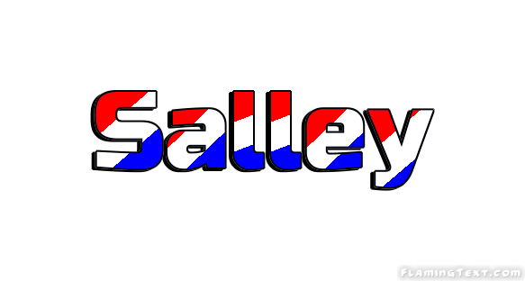 Salley City