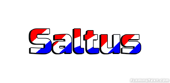 Saltus 市