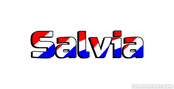 Salvia City
