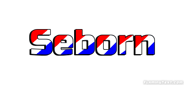 Seborn 市