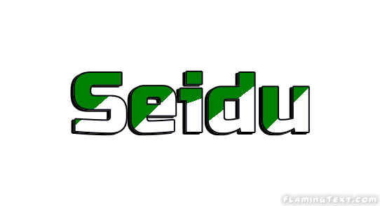 Seidu город