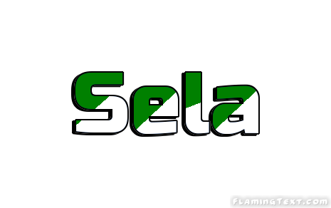 Sela City