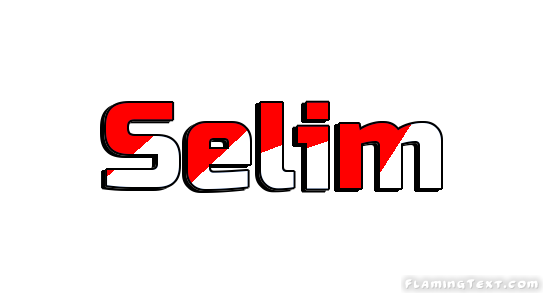 Selim مدينة