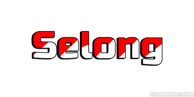 Selong Stadt