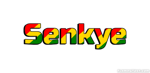 Senkye City