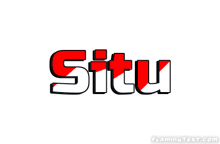 Situ город